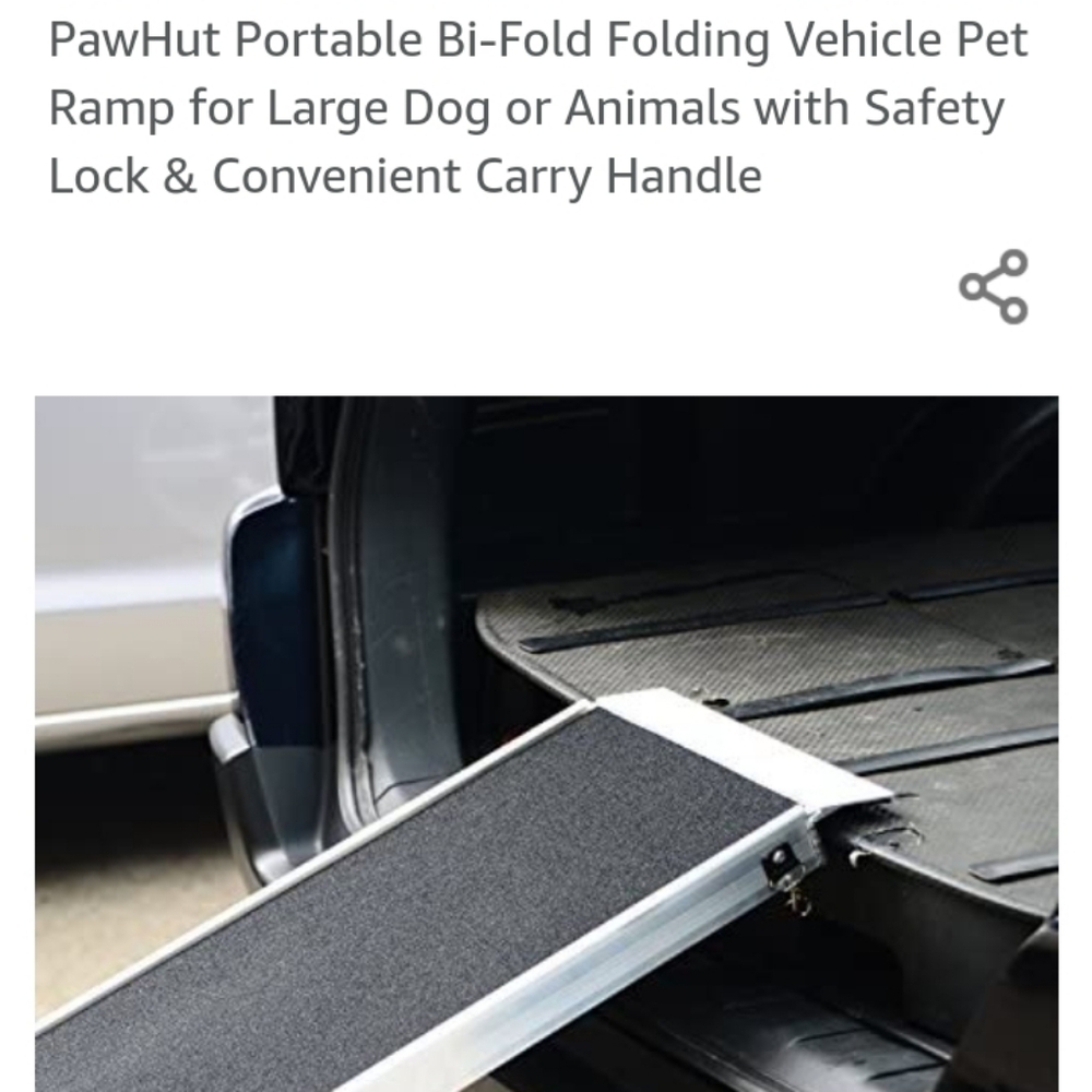 Portable auto pet ramp